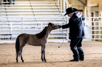 254