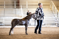 275