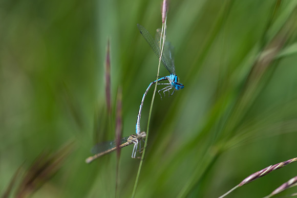 DSC_6671