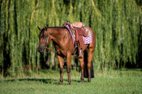 bDSC_2220