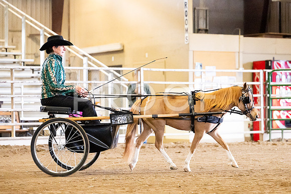 RMC-36